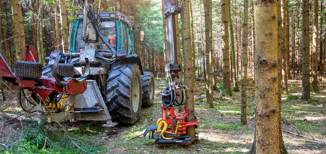 smitti_bilder-forstarbeiten_naarva_02
